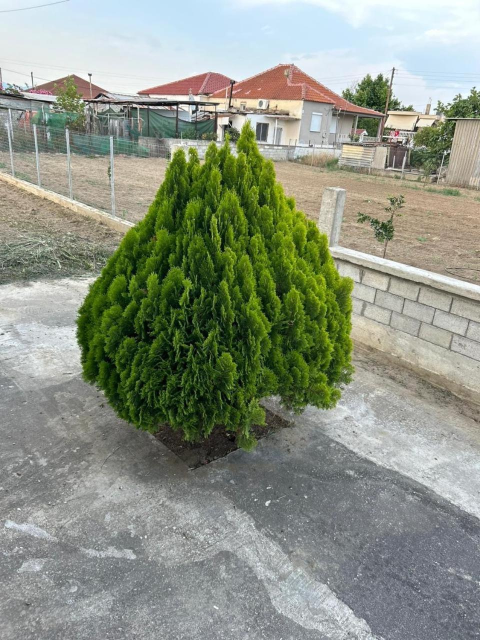 Amaya Pine Rooms Keramotí Exterior foto